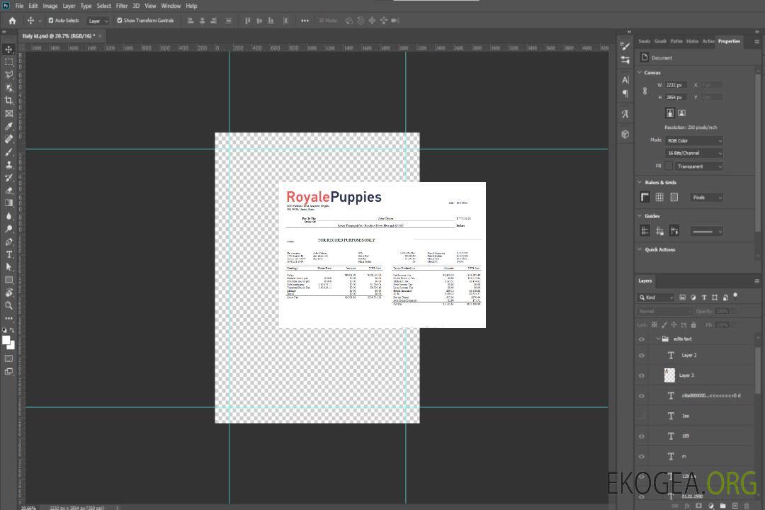 relevé de résultats d'une entreprise de médecine vétérinaire aux formats Word et PDF template relevé de résultats d'une entreprise de médecine vétérinaire aux formats Word et PDF template